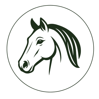 Cabalgatas guíadas en Villa Elisa