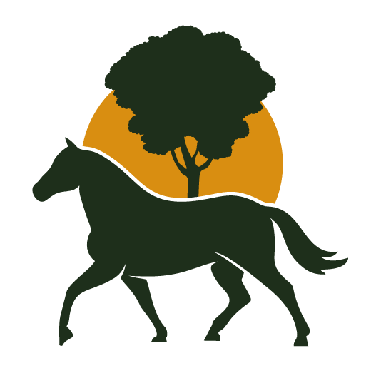 cabalgatas en el Parque Pereyra Iraola