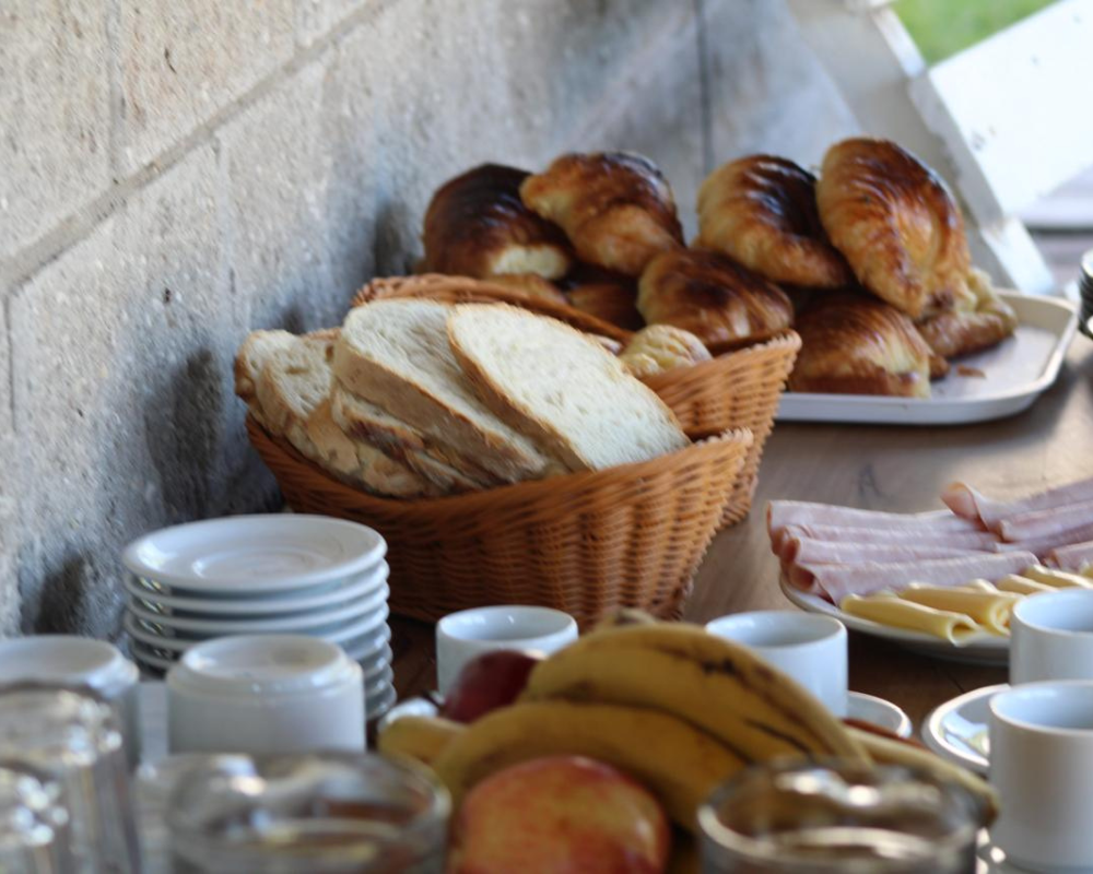 fotos para equino (1)