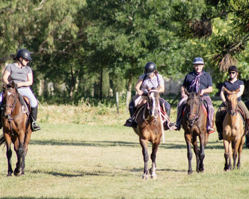 fotos para equino (2)