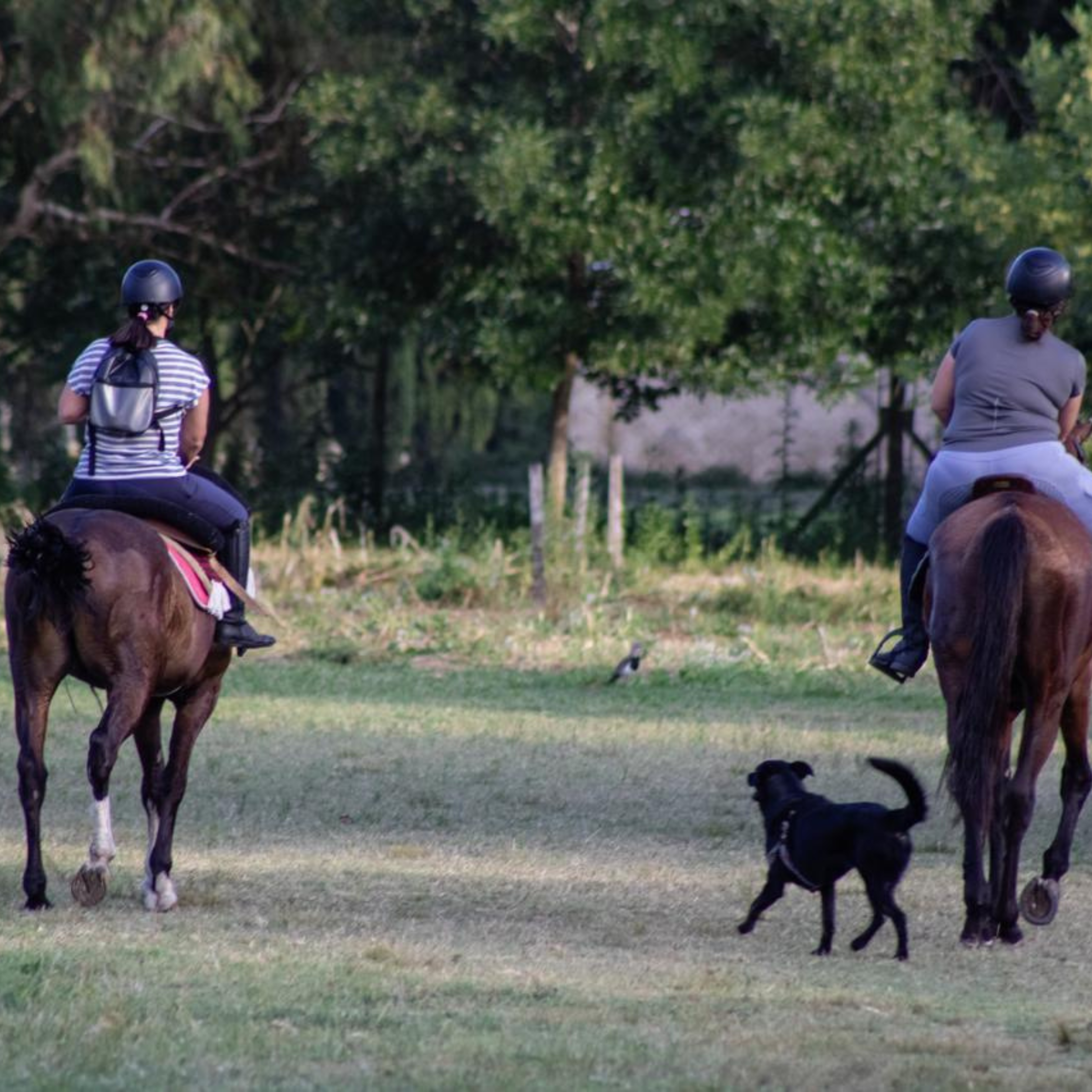 fotos para nosotros (4)