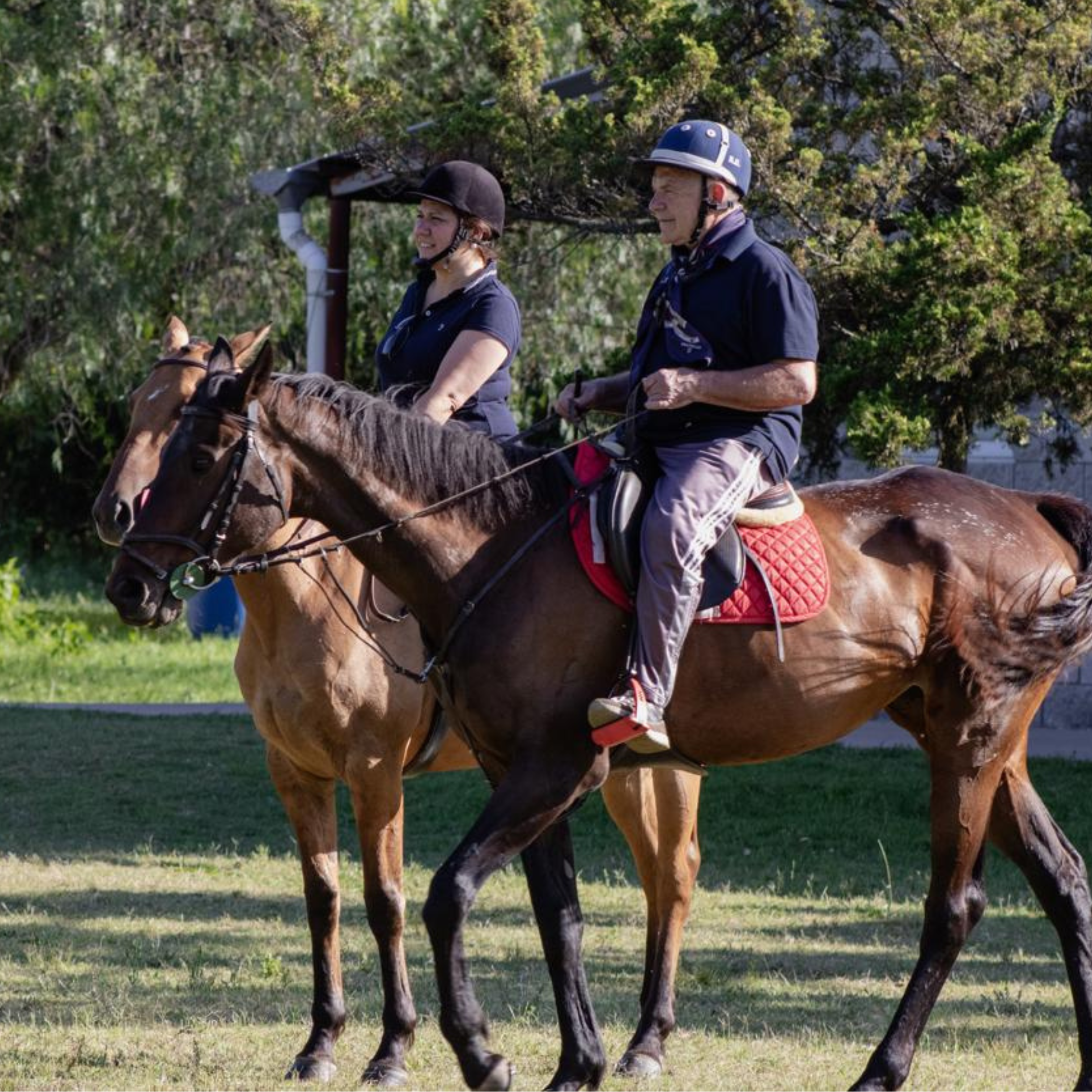 fotos para nosotros (5)