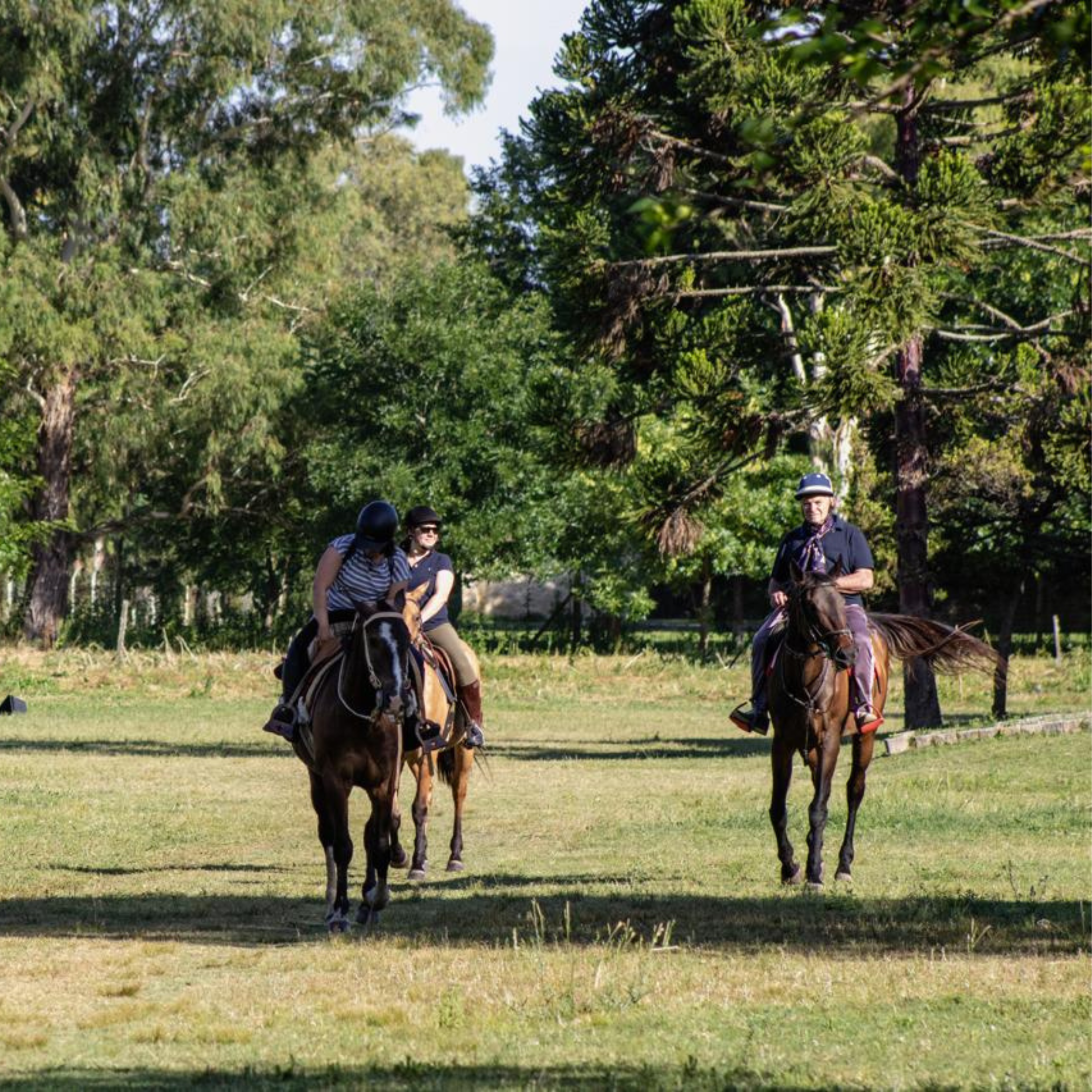 fotos para nosotros (6)