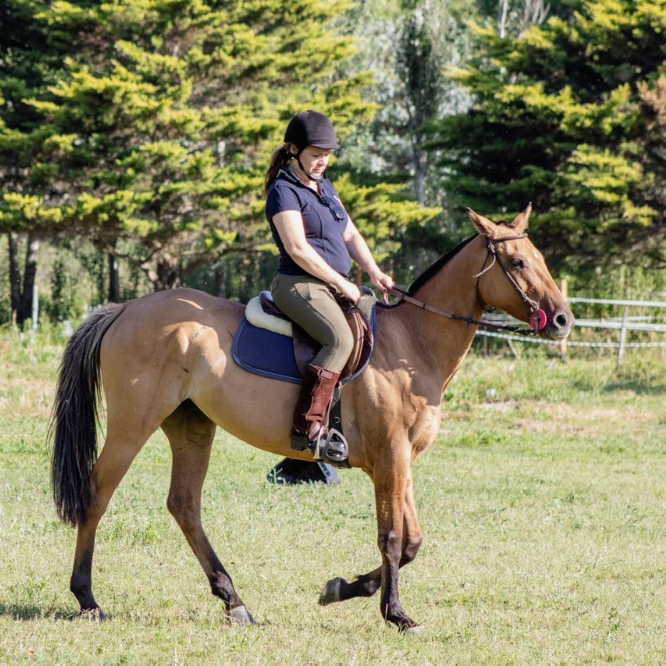 fotos para nosotros (7)