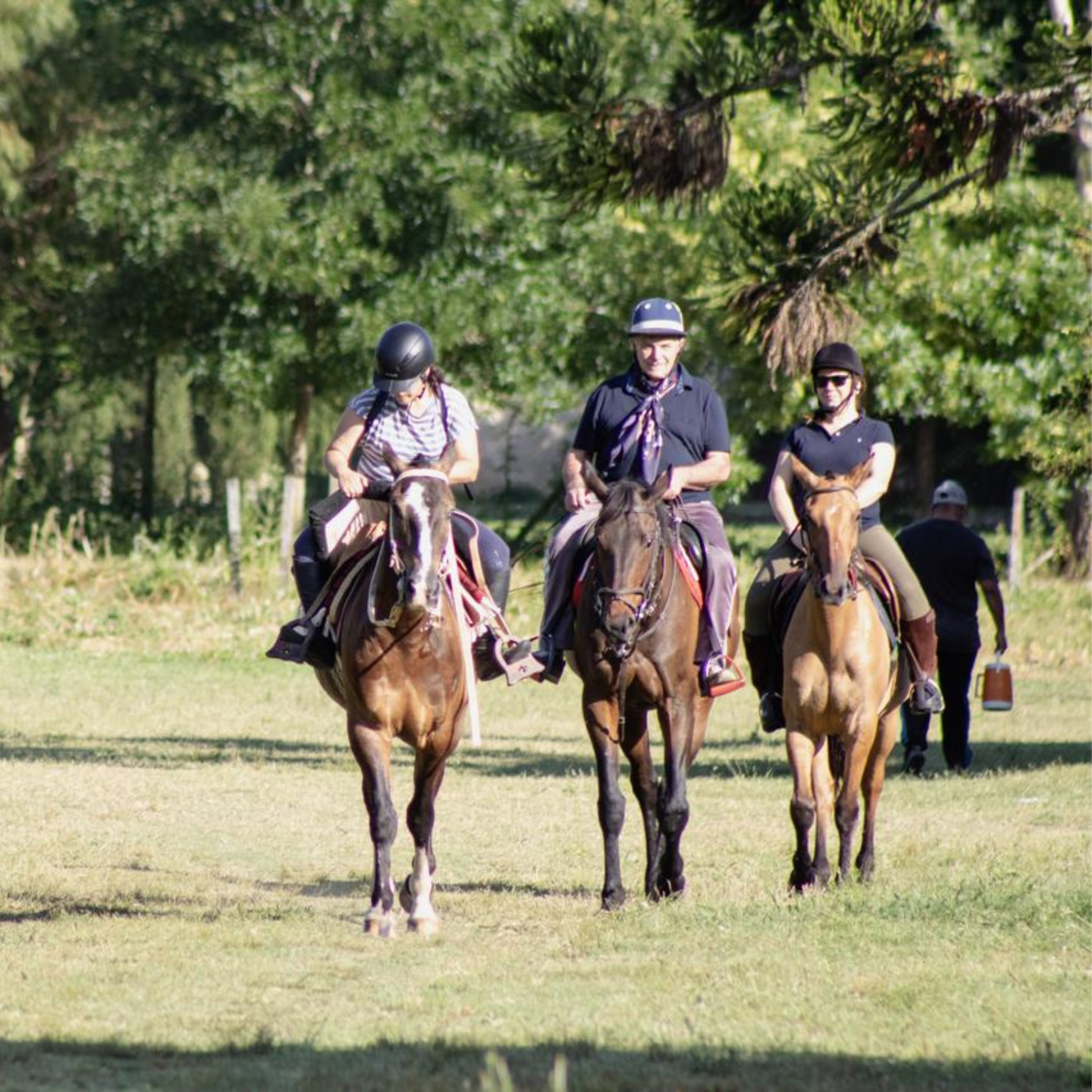 fotos para nosotros (8)